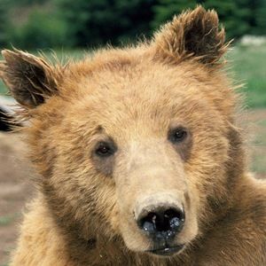 Meet your Posher, Austin